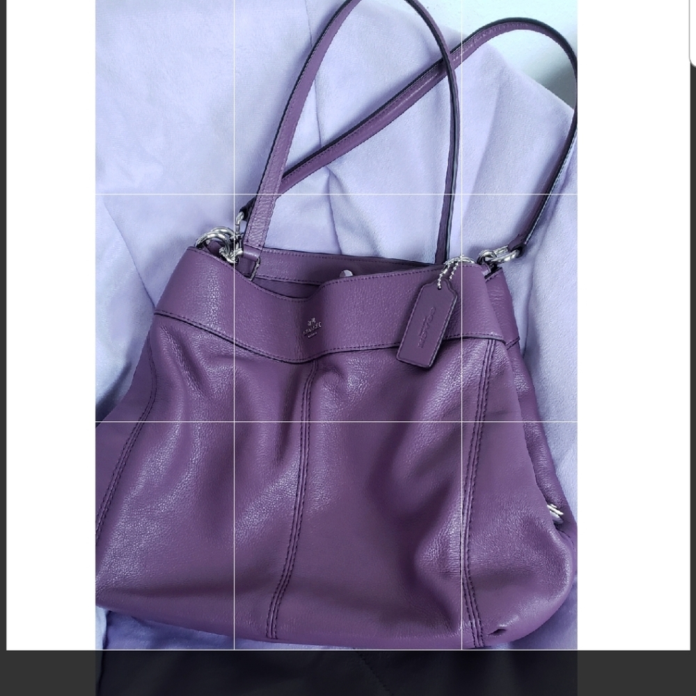 Gorgeous Authentic Coach purse